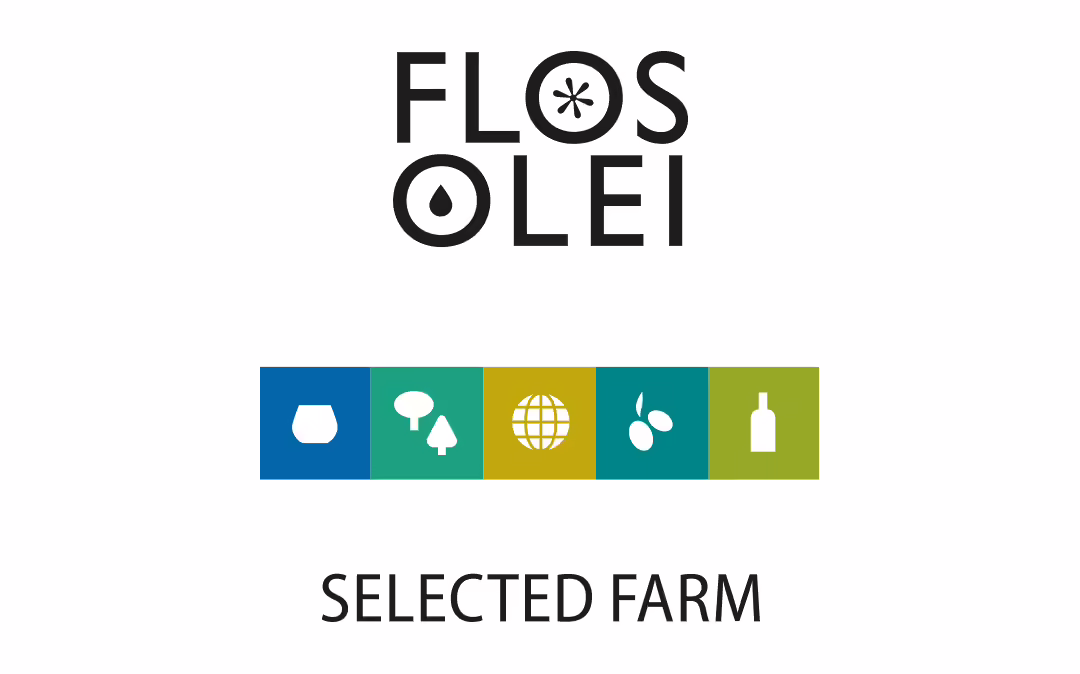 FLOS OLEI